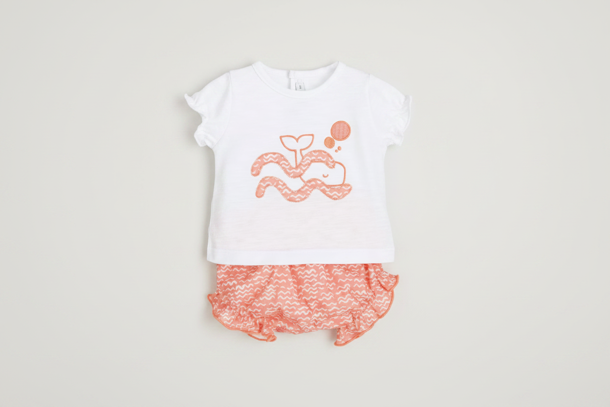 Conjunto e Ballena Coral