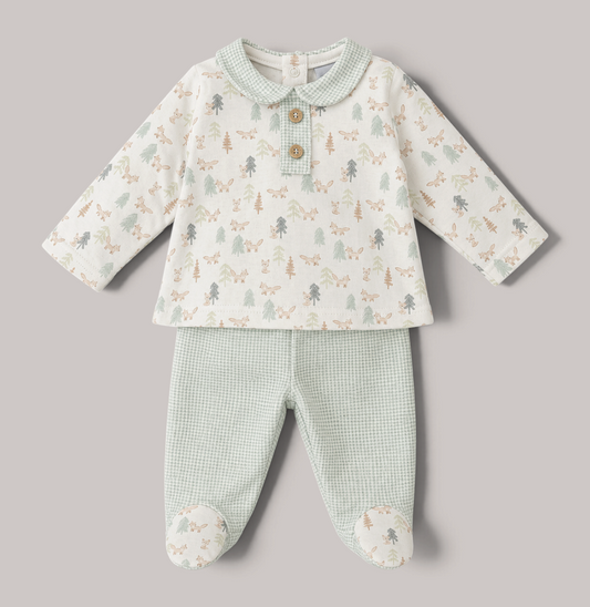 Conjunto Bebé Bosque