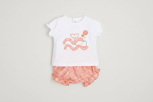 Conjunto e Ballena Coral